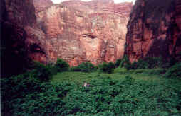 A visit to Havasupi falls