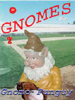 The Name the Gnome contest